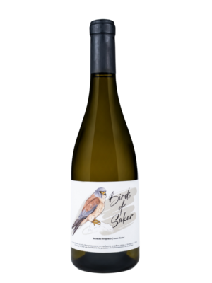 birds-of-sakar